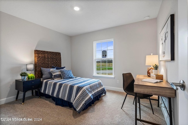 view of carpeted bedroom