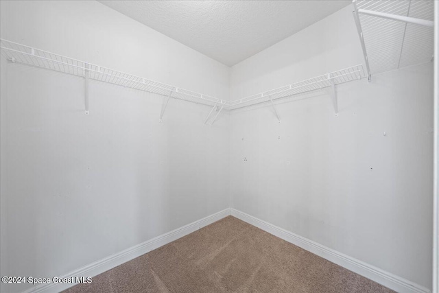 walk in closet with carpet