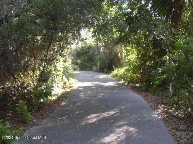 2415 Stanford Dr, Cocoa, FL 32926 - view of road featuring a wooded view