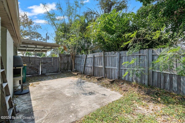 view of yard featuring a patio