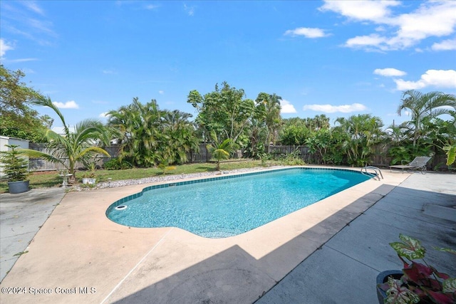 view of swimming pool with a patio