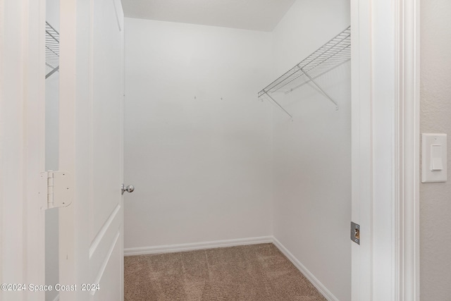 spacious closet featuring carpet flooring