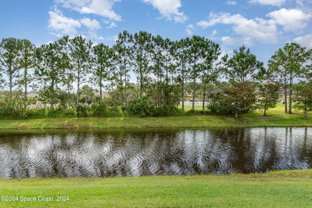 view of water feature