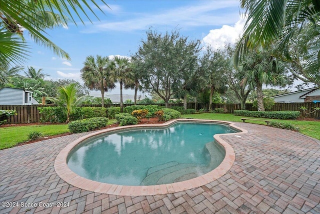 view of swimming pool with a patio and a lawn