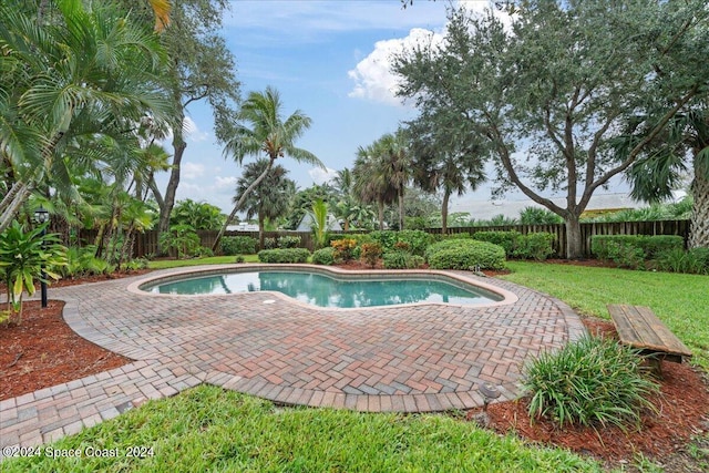 view of swimming pool featuring a patio and a yard