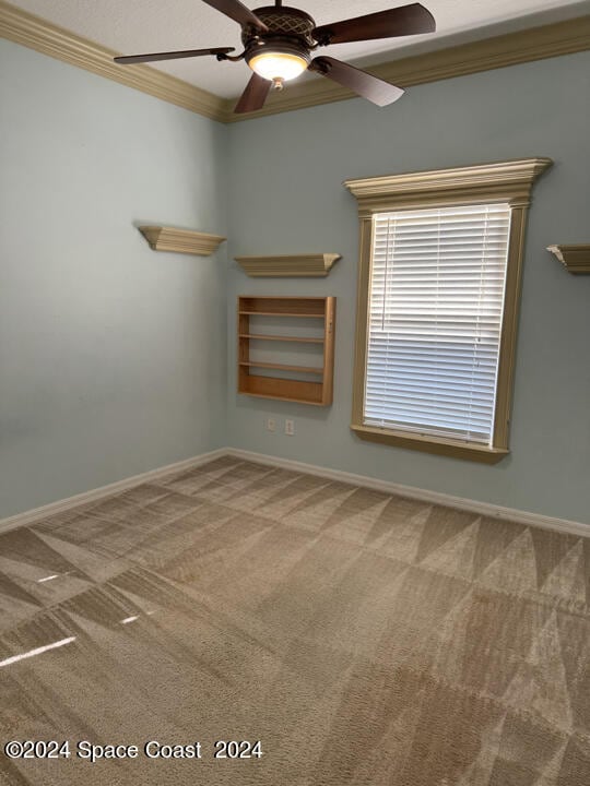 carpeted empty room with ceiling fan and crown molding