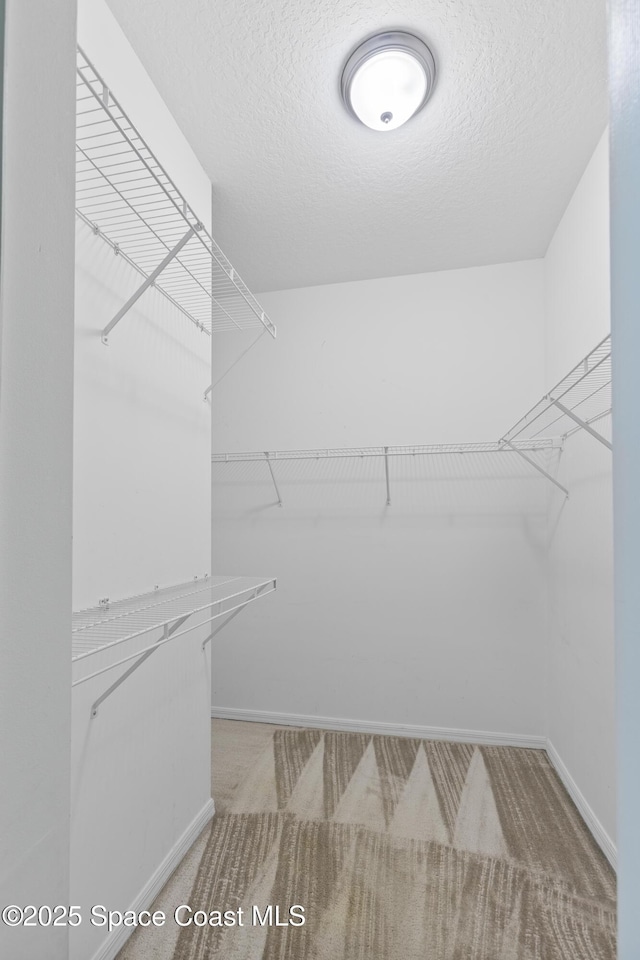 1870 Parrsboro St NW, Palm Bay, FL 32907 - spacious closet with carpet flooring