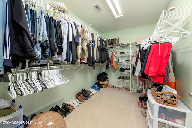 spacious closet with carpet floors