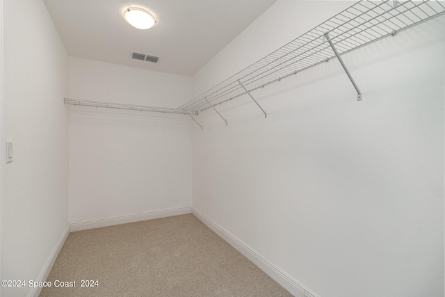 spacious closet featuring carpet floors