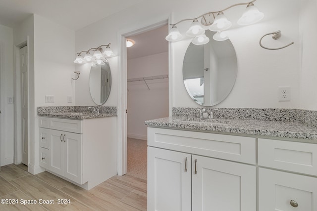 bathroom with wood-type flooring and vanity