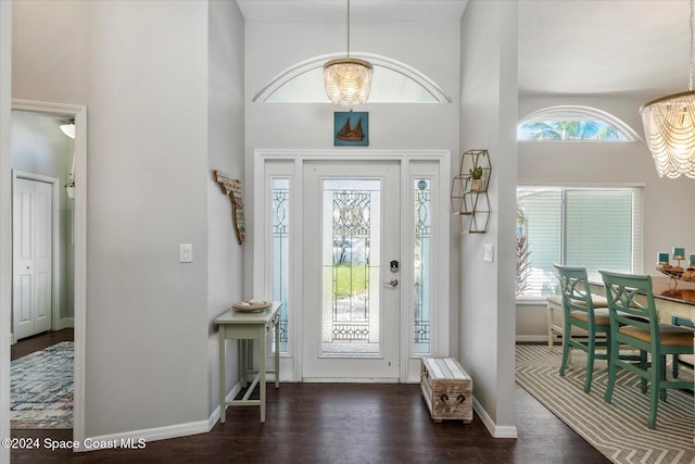 foyer with a wealth of natural light, a high ceiling, and dark hardwood / wood-style floors