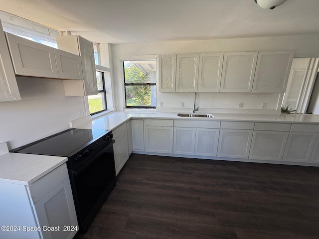 kitchen with white cabinetry, dark hardwood / wood-style floors, sink, and black stove