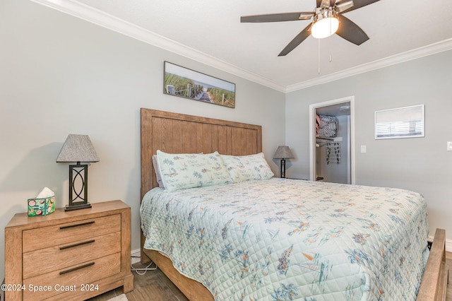 bedroom featuring a walk in closet, ornamental molding, dark wood-type flooring, and ceiling fan