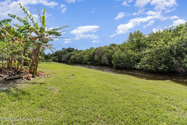 929 Hialeah St, Rockledge, FL 32955 - view of yard