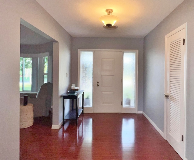 foyer entrance with dark wood-type flooring