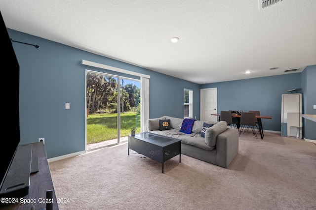 carpeted living room with a textured ceiling