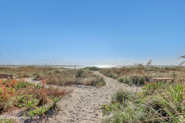 view of local wilderness