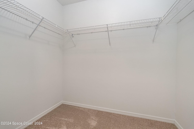 walk in closet featuring carpet