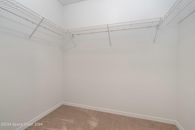 1290 Mercedes Dr, Merritt Island, FL 32952 - spacious closet with light carpet