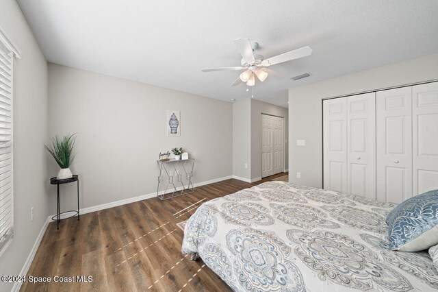 bedroom with two closets, dark hardwood / wood-style floors, and ceiling fan