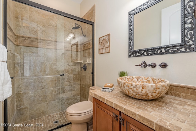 bathroom with vanity, a shower with shower door, and toilet