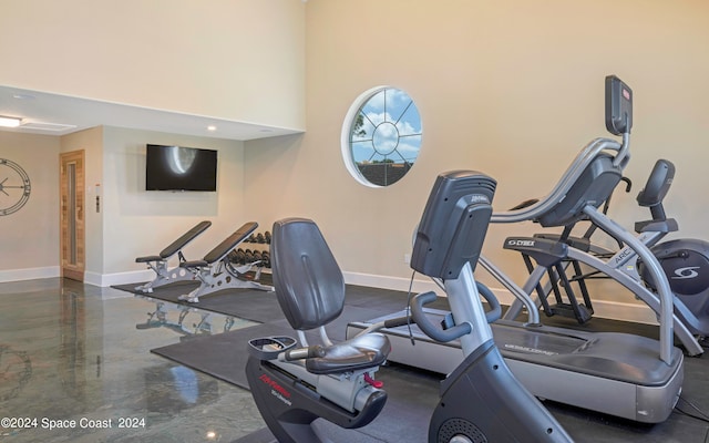 exercise room featuring a high ceiling