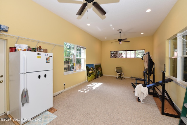 workout area featuring ceiling fan and carpet flooring