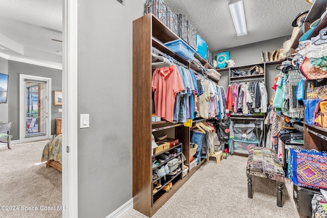 spacious closet with carpet floors