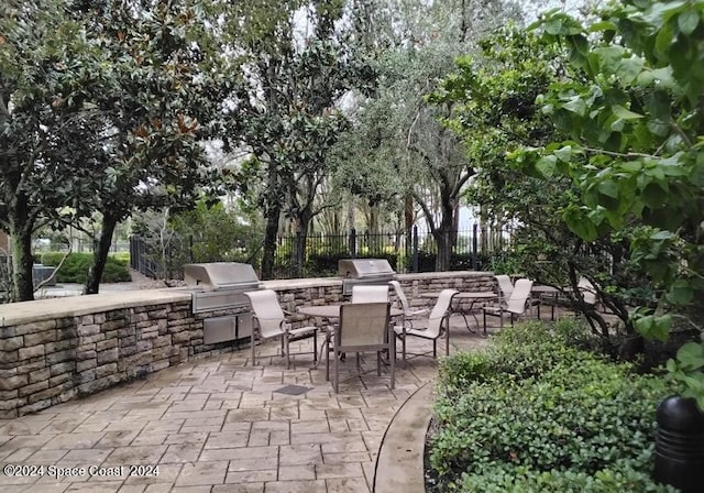 view of patio featuring area for grilling and grilling area