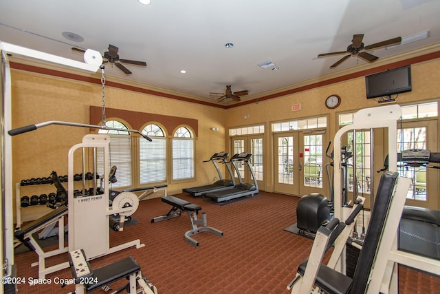 workout area featuring plenty of natural light, french doors, and crown molding