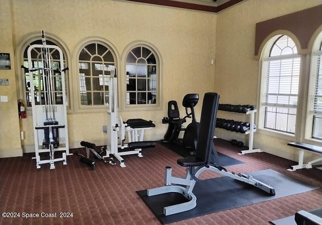 gym with crown molding