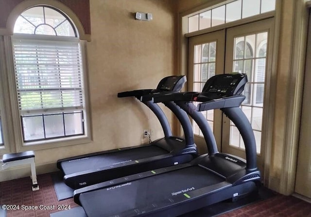 exercise area with french doors and plenty of natural light