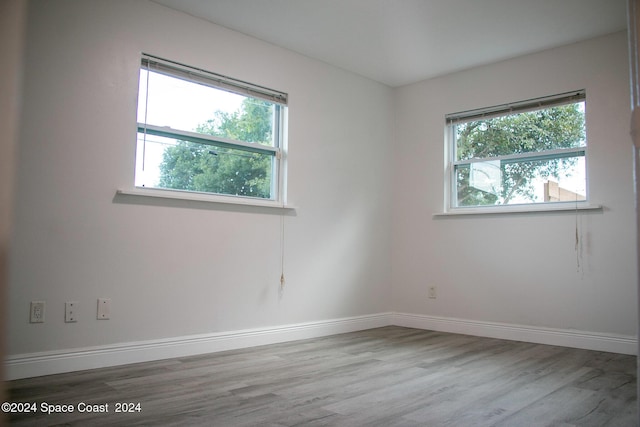 empty room with a healthy amount of sunlight and light hardwood / wood-style flooring