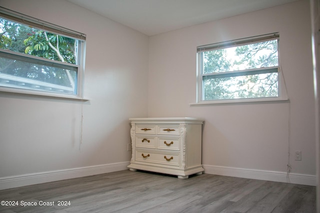 spare room featuring light wood-type flooring and a healthy amount of sunlight