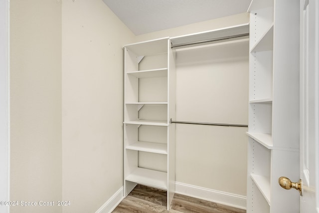 spacious closet featuring hardwood / wood-style flooring