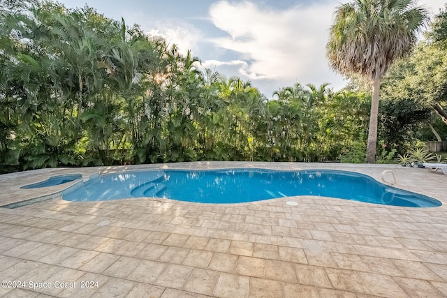 view of pool featuring a patio