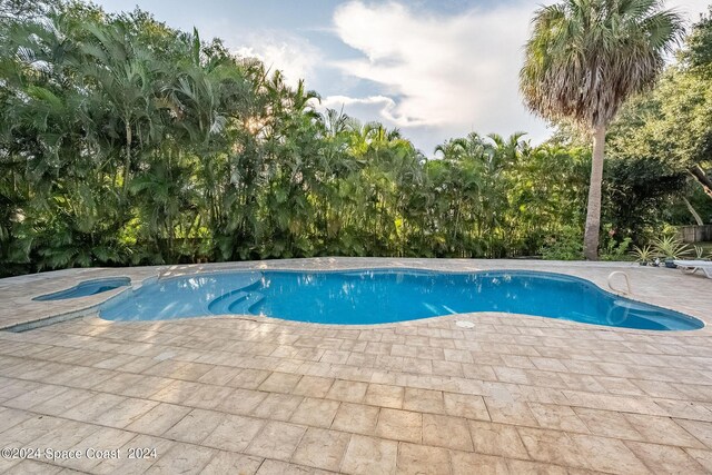 1165 Old Parsonage Dr, Merritt Island, FL 32952 - outdoor pool with a patio