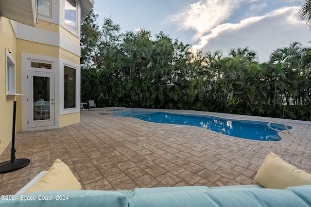 view of pool featuring a patio area