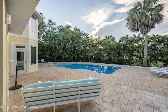 view of swimming pool with a patio