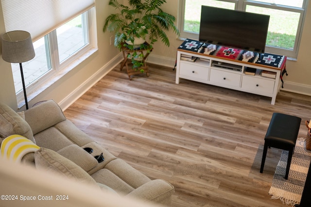 living room with light hardwood / wood-style flooring