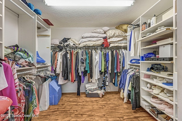 818 Spanish Wells Dr, Melbourne, FL 32940 - spacious closet featuring wood finished floors