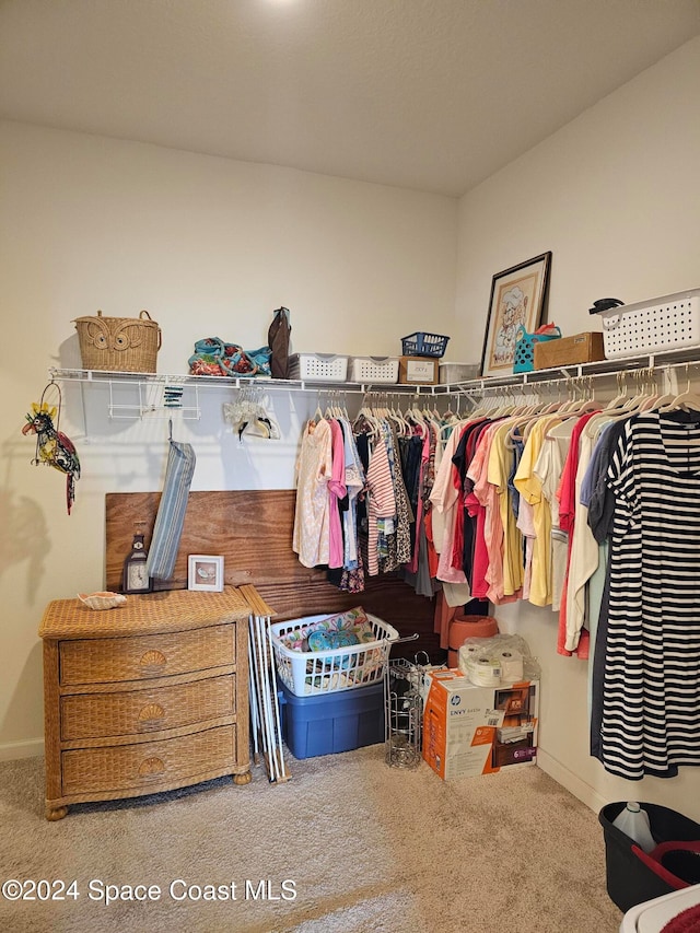 walk in closet featuring carpet