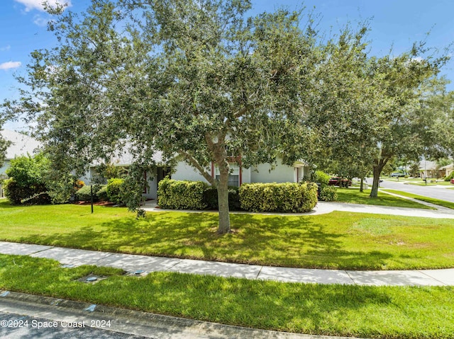 view of home's community featuring a lawn