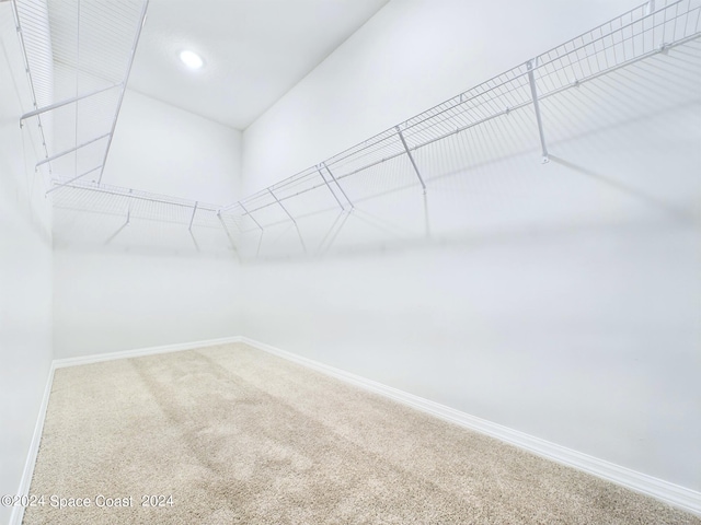 spacious closet with carpet floors