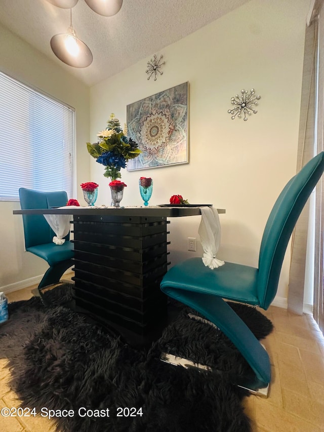 dining room featuring a textured ceiling