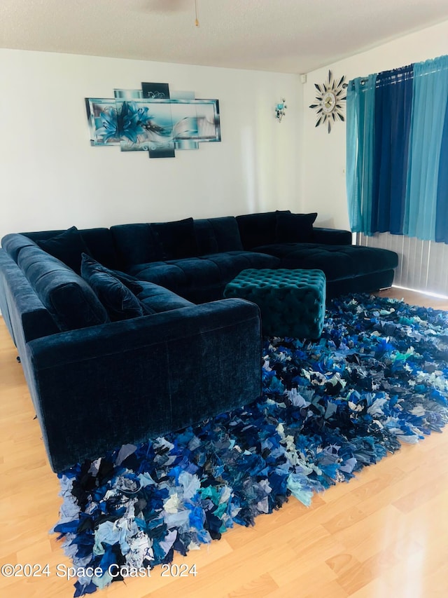 living room with hardwood / wood-style flooring