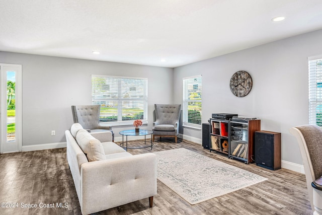living area featuring baseboards, wood finished floors, and a wealth of natural light