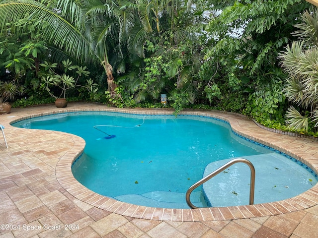 view of swimming pool featuring a patio area