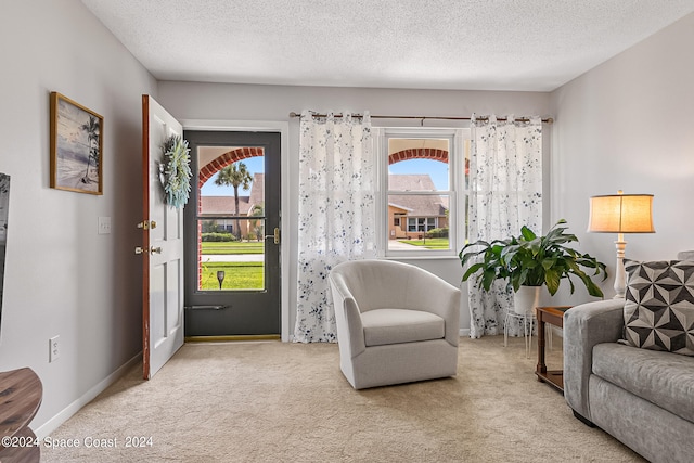 living area with light carpet, a textured ceiling, and a wealth of natural light