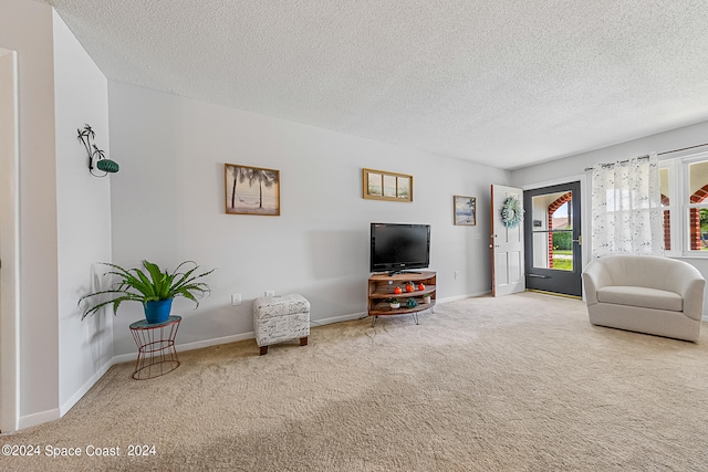 living room with a textured ceiling and carpet